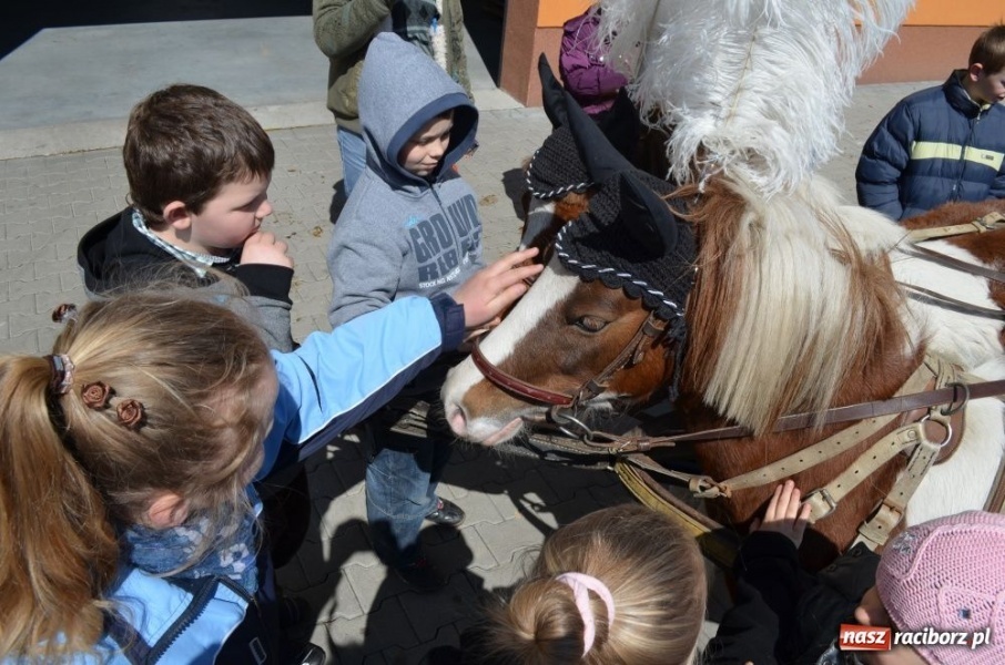 Zdjęcie w galerii na portalu naszraciborz.pl: Lider RAŚ konno w Pietrowicach Wielkich wiadomości z regionu