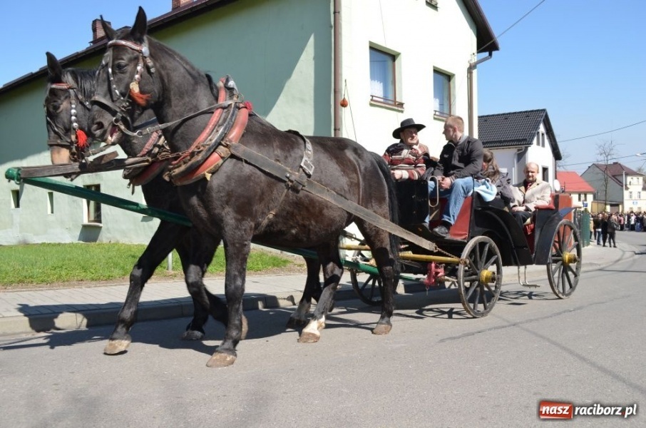 Zdjęcie w galerii na portalu naszraciborz.pl: Lider RAŚ konno w Pietrowicach Wielkich wiadomości z regionu