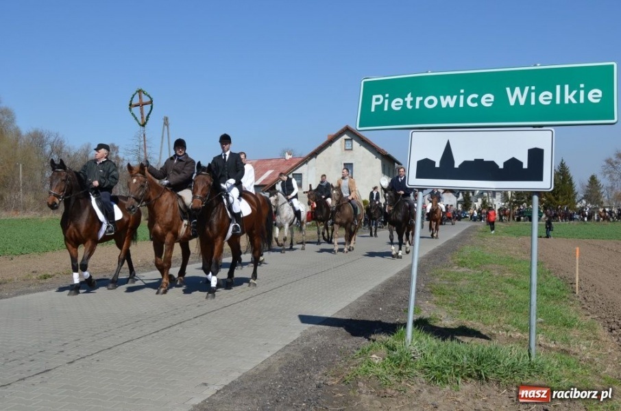 Zdjęcie w galerii na portalu naszraciborz.pl: Lider RAŚ konno w Pietrowicach Wielkich wiadomości z regionu
