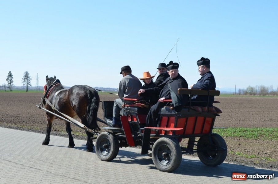 Zdjęcie w galerii na portalu naszraciborz.pl: Lider RAŚ konno w Pietrowicach Wielkich wiadomości z regionu