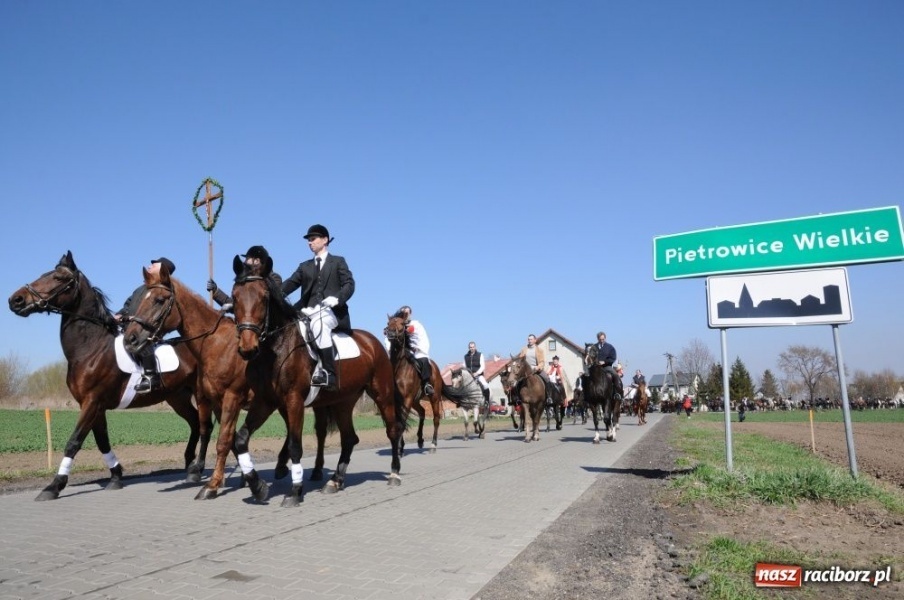 Zdjęcie w galerii na portalu naszraciborz.pl: Lider RAŚ konno w Pietrowicach Wielkich wiadomości z regionu