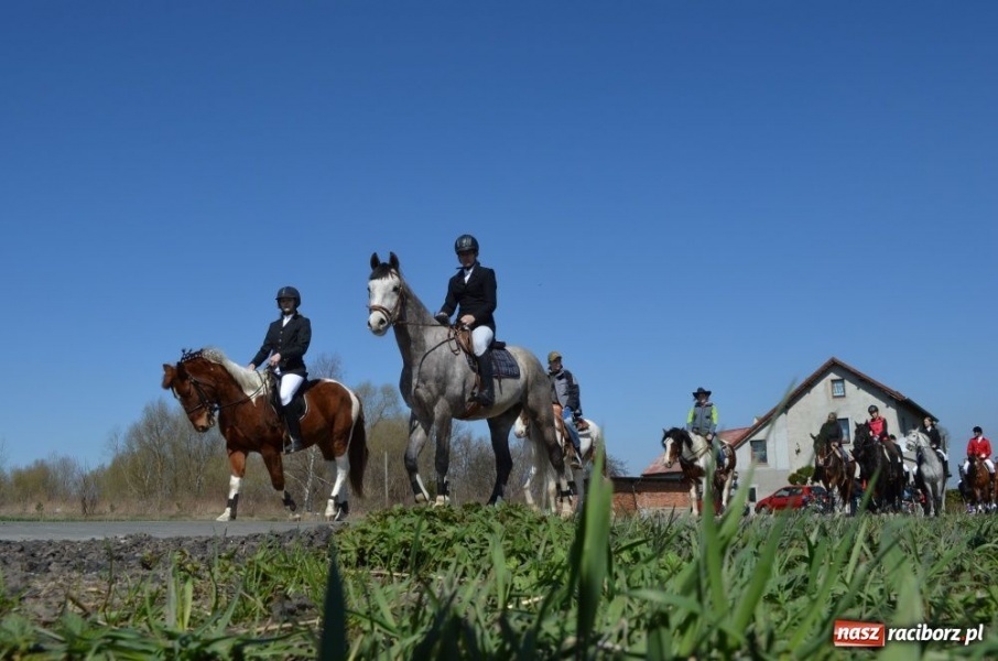 Zdjęcie w galerii na portalu naszraciborz.pl: Lider RAŚ konno w Pietrowicach Wielkich wiadomości z regionu
