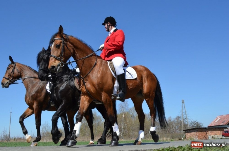 Zdjęcie w galerii na portalu naszraciborz.pl: Lider RAŚ konno w Pietrowicach Wielkich wiadomości z regionu