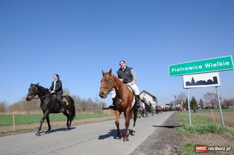 Zdjęcie w galerii na portalu naszraciborz.pl: Lider RAŚ konno w Pietrowicach Wielkich wiadomości z regionu