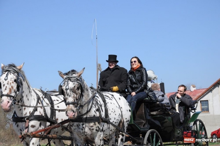 Zdjęcie w galerii na portalu naszraciborz.pl: Lider RAŚ konno w Pietrowicach Wielkich wiadomości z regionu