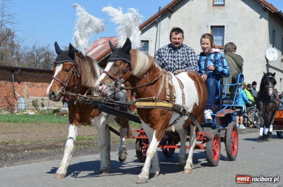Zdjęcie w galerii na portalu naszraciborz.pl: Lider RAŚ konno w Pietrowicach Wielkich wiadomości z regionu