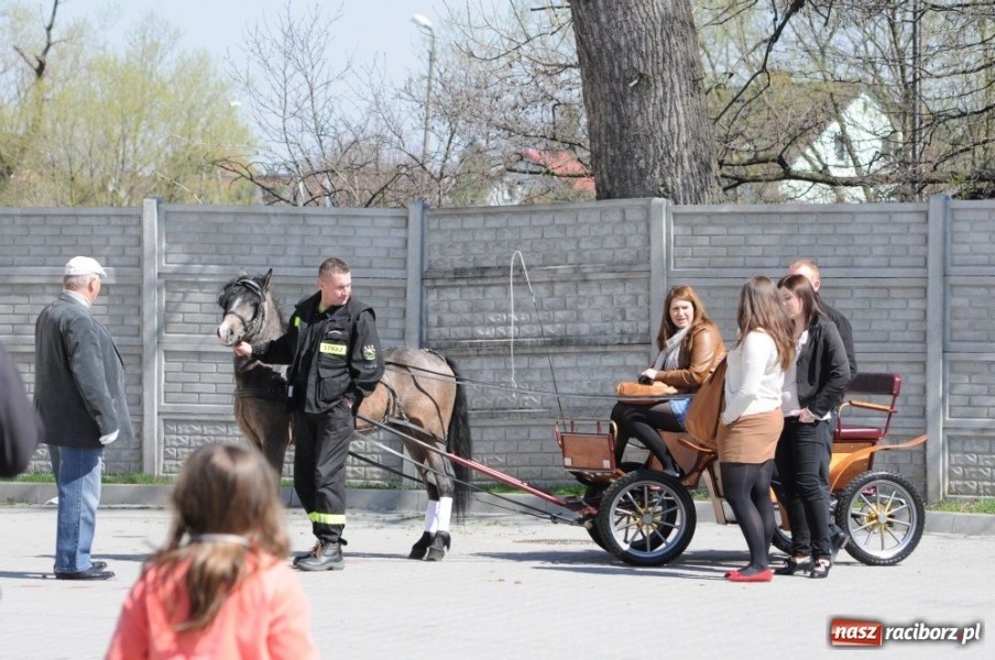 Zdjęcie w galerii na portalu naszraciborz.pl: Lider RAŚ konno w Pietrowicach Wielkich wiadomości z regionu