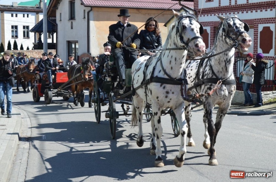 Zdjęcie w galerii na portalu naszraciborz.pl: Lider RAŚ konno w Pietrowicach Wielkich wiadomości z regionu