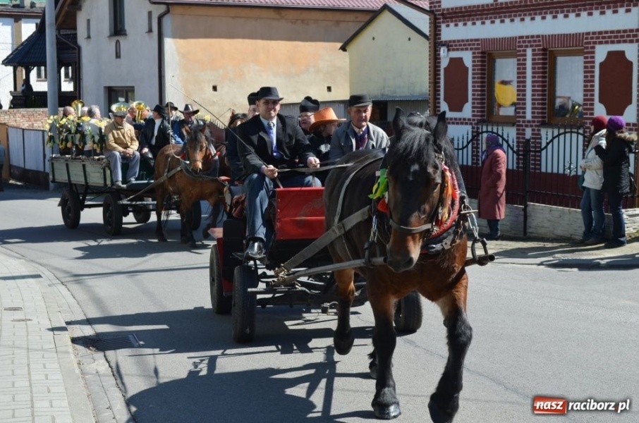 Zdjęcie w galerii na portalu naszraciborz.pl: Lider RAŚ konno w Pietrowicach Wielkich wiadomości z regionu