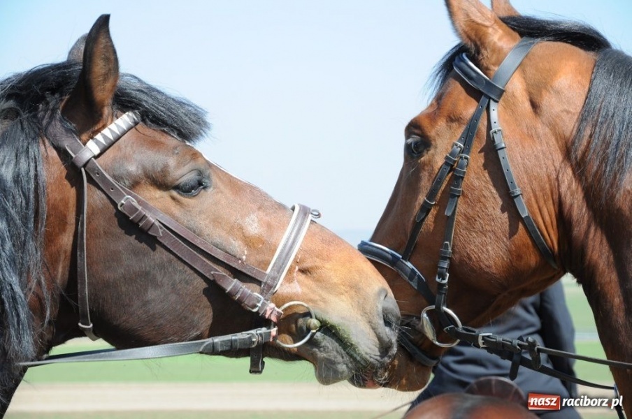 Zdjęcie w galerii na portalu naszraciborz.pl: W Bieńkowicach z wiceministrem wiadomości z regionu