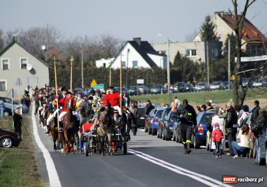 Zdjęcie w galerii na portalu naszraciborz.pl: W Sudole było najwięcej koni wiadomości z regionu