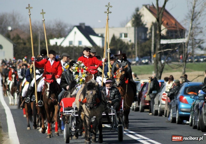 Zdjęcie w galerii na portalu naszraciborz.pl: W Sudole było najwięcej koni wiadomości z regionu