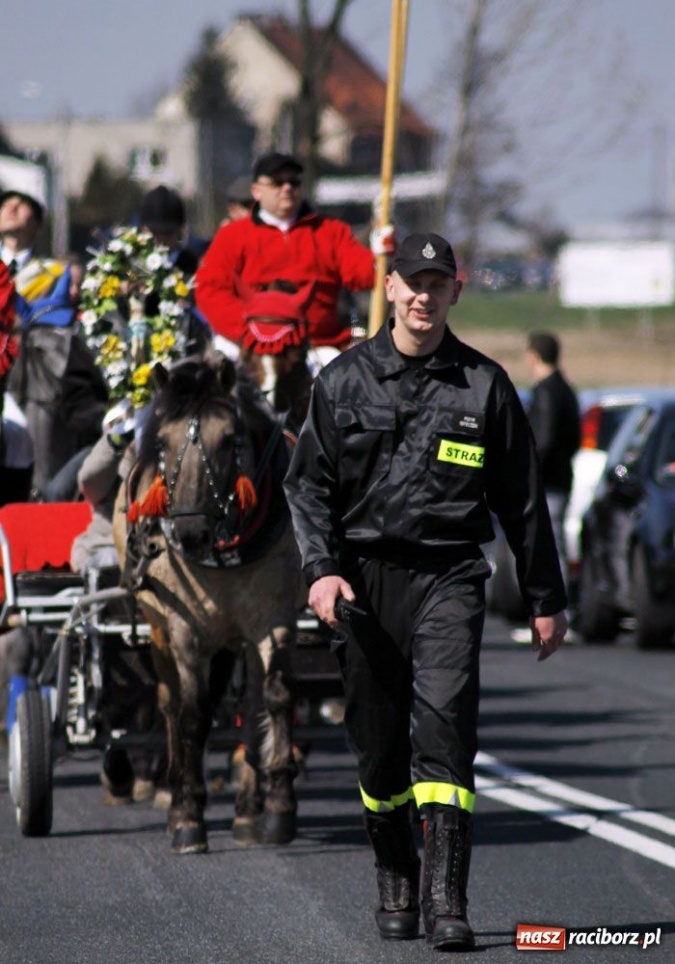 Zdjęcie w galerii na portalu naszraciborz.pl: W Sudole było najwięcej koni wiadomości z regionu