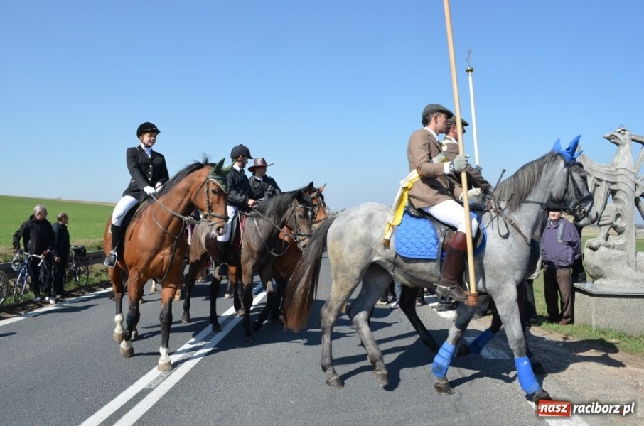 Zdjęcie w galerii na portalu naszraciborz.pl: W Sudole było najwięcej koni wiadomości z regionu
