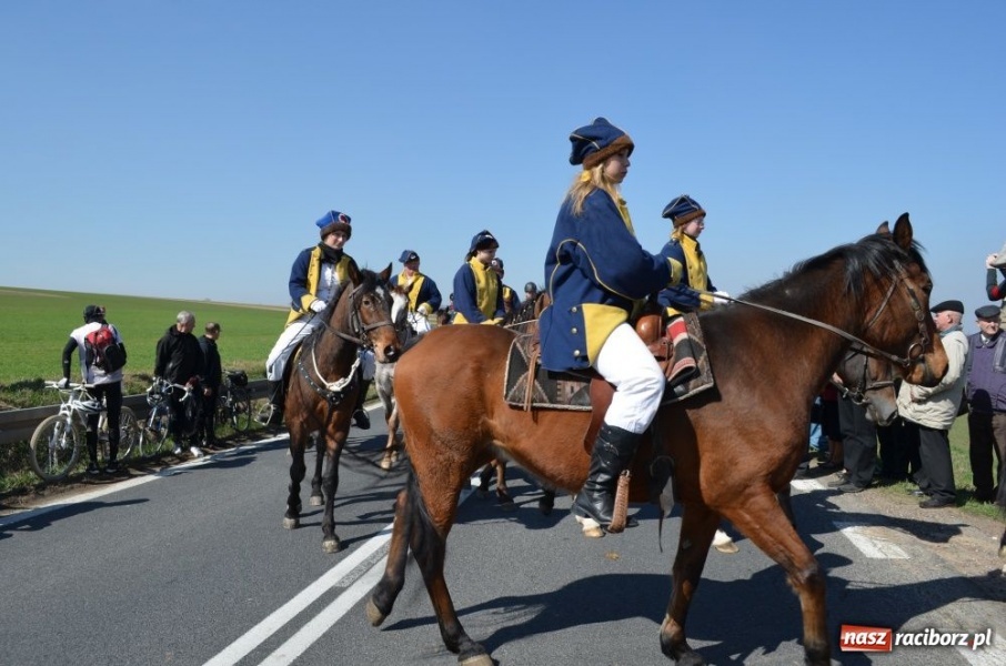 Zdjęcie w galerii na portalu naszraciborz.pl: W Sudole było najwięcej koni wiadomości z regionu