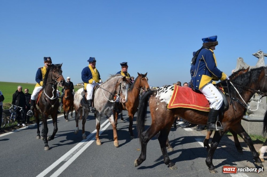 Zdjęcie w galerii na portalu naszraciborz.pl: W Sudole było najwięcej koni wiadomości z regionu