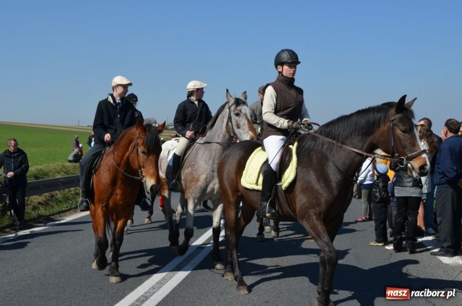 Zdjęcie w galerii na portalu naszraciborz.pl: W Sudole było najwięcej koni wiadomości z regionu