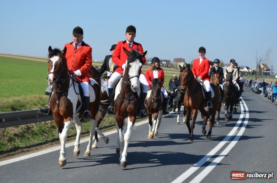 Zdjęcie w galerii na portalu naszraciborz.pl: W Sudole było najwięcej koni wiadomości z regionu