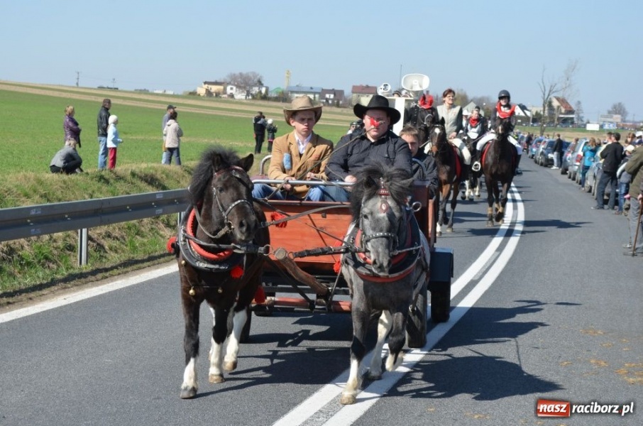 Zdjęcie w galerii na portalu naszraciborz.pl: W Sudole było najwięcej koni wiadomości z regionu