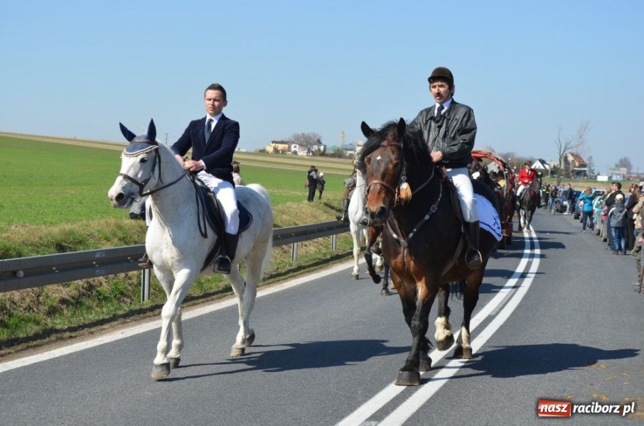 Zdjęcie w galerii na portalu naszraciborz.pl: W Sudole było najwięcej koni wiadomości z regionu