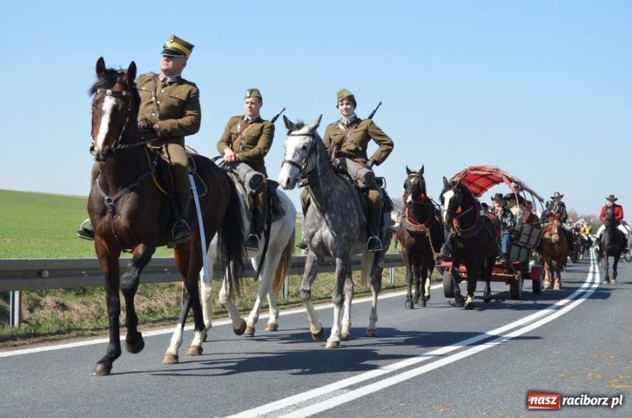 Zdjęcie w galerii na portalu naszraciborz.pl: W Sudole było najwięcej koni wiadomości z regionu