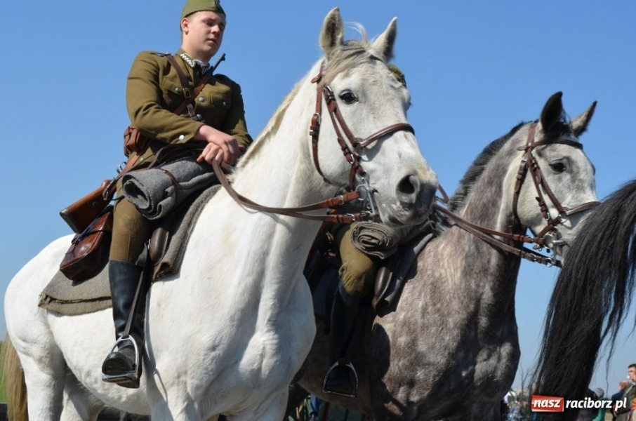 Zdjęcie w galerii na portalu naszraciborz.pl: W Sudole było najwięcej koni wiadomości z regionu