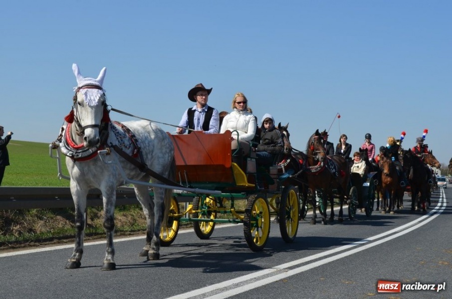 Zdjęcie w galerii na portalu naszraciborz.pl: W Sudole było najwięcej koni wiadomości z regionu