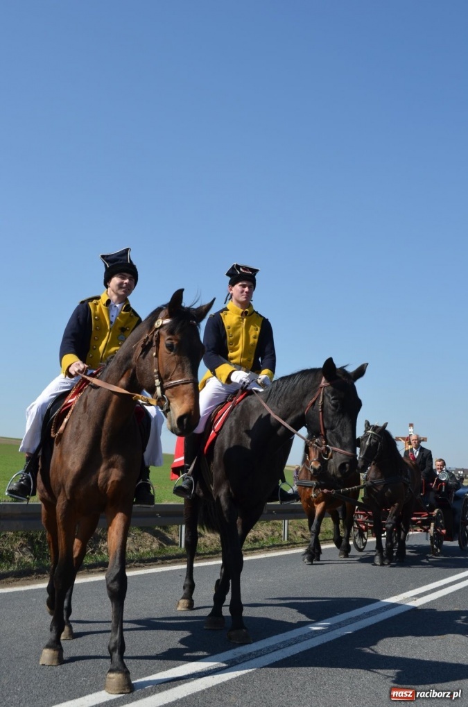 Zdjęcie w galerii na portalu naszraciborz.pl: W Sudole było najwięcej koni wiadomości z regionu