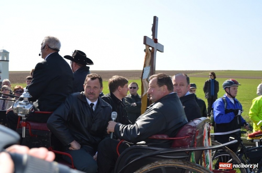 Zdjęcie w galerii na portalu naszraciborz.pl: W Sudole było najwięcej koni wiadomości z regionu