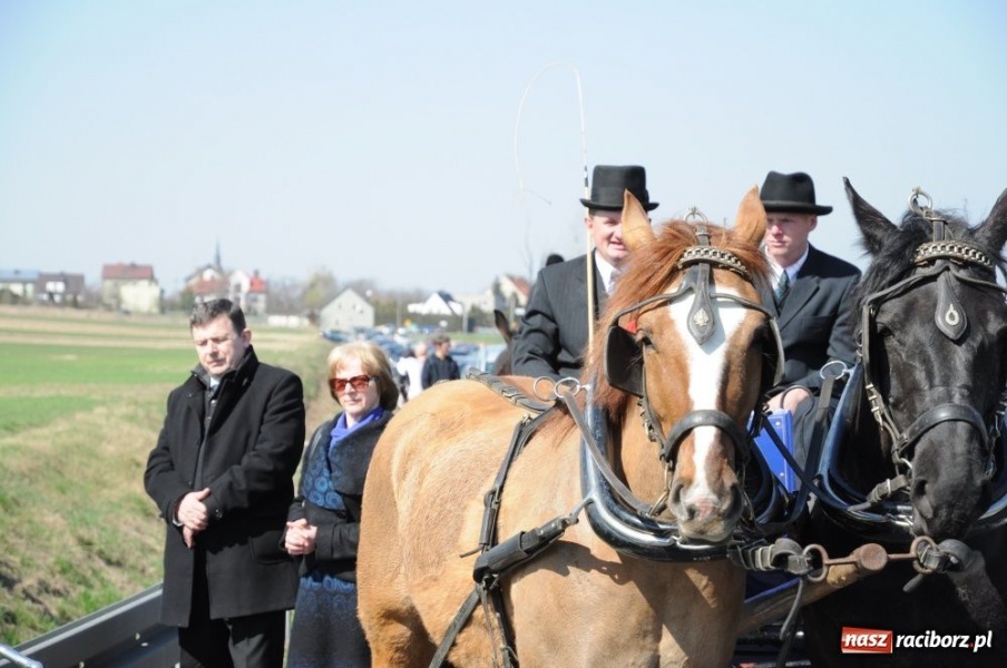 Zdjęcie w galerii na portalu naszraciborz.pl: W Sudole było najwięcej koni wiadomości z regionu