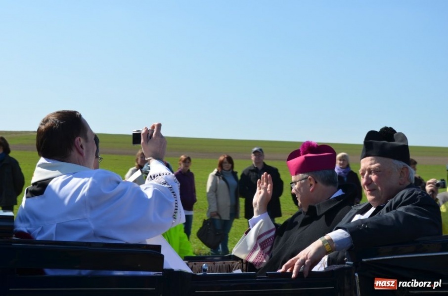 Zdjęcie w galerii na portalu naszraciborz.pl: W Sudole było najwięcej koni wiadomości z regionu
