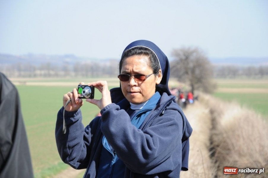 Zdjęcie w galerii na portalu naszraciborz.pl: W Sudole było najwięcej koni wiadomości z regionu