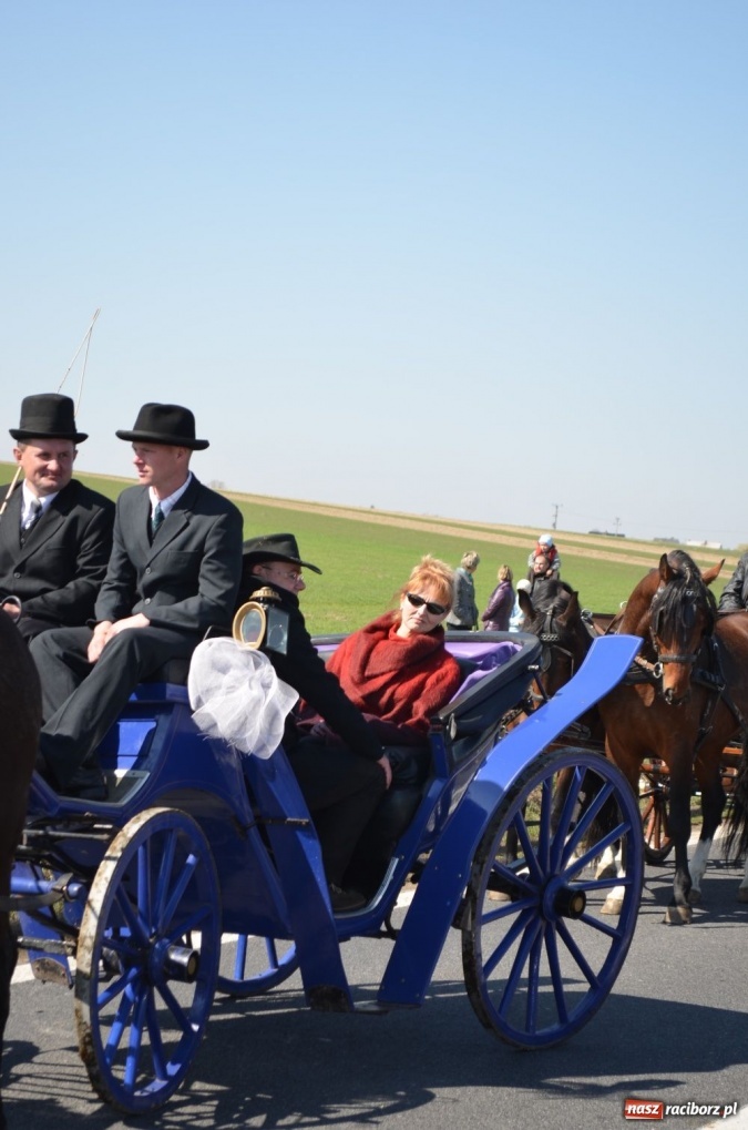 Zdjęcie w galerii na portalu naszraciborz.pl: W Sudole było najwięcej koni wiadomości z regionu