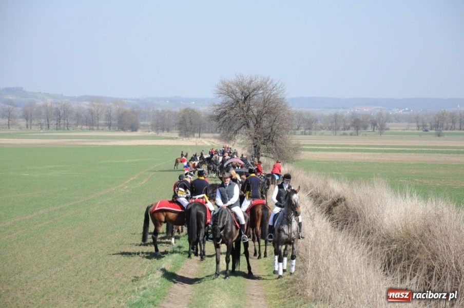 Zdjęcie w galerii na portalu naszraciborz.pl: W Sudole było najwięcej koni wiadomości z regionu