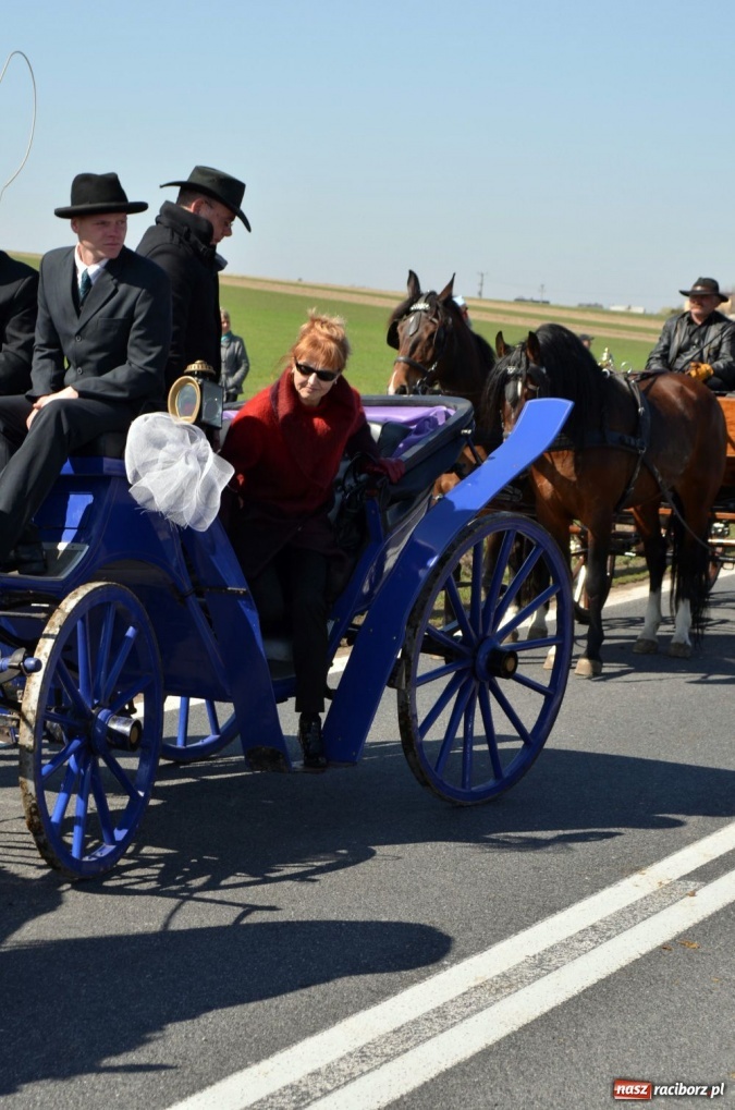 Zdjęcie w galerii na portalu naszraciborz.pl: W Sudole było najwięcej koni wiadomości z regionu