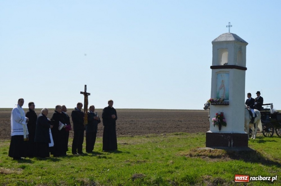 Zdjęcie w galerii na portalu naszraciborz.pl: W Sudole było najwięcej koni wiadomości z regionu