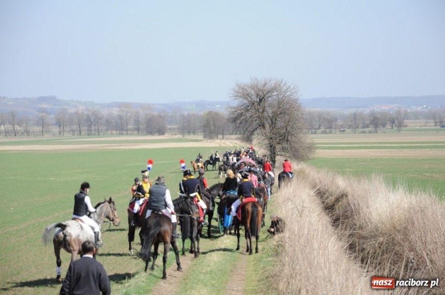 Zdjęcie w galerii na portalu naszraciborz.pl: W Sudole było najwięcej koni wiadomości z regionu