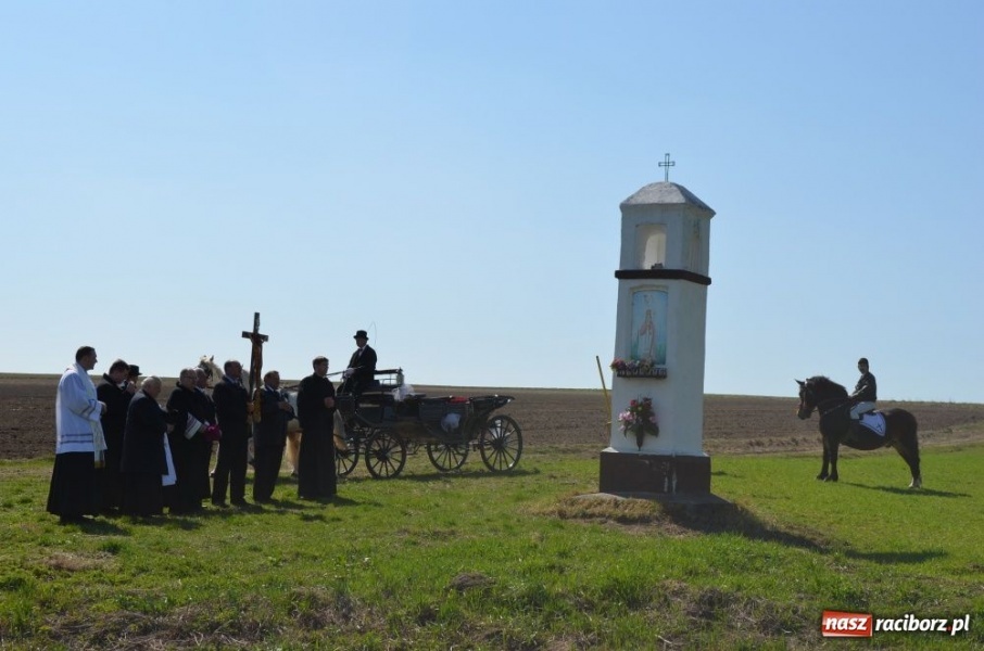 Zdjęcie w galerii na portalu naszraciborz.pl: W Sudole było najwięcej koni wiadomości z regionu