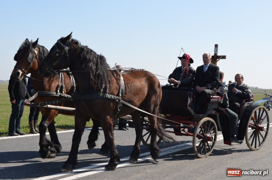 Zdjęcie w galerii na portalu naszraciborz.pl: W Sudole było najwięcej koni wiadomości z regionu