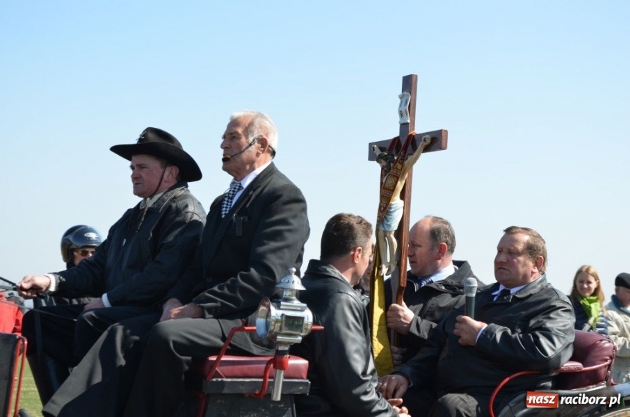 Zdjęcie w galerii na portalu naszraciborz.pl: W Sudole było najwięcej koni wiadomości z regionu