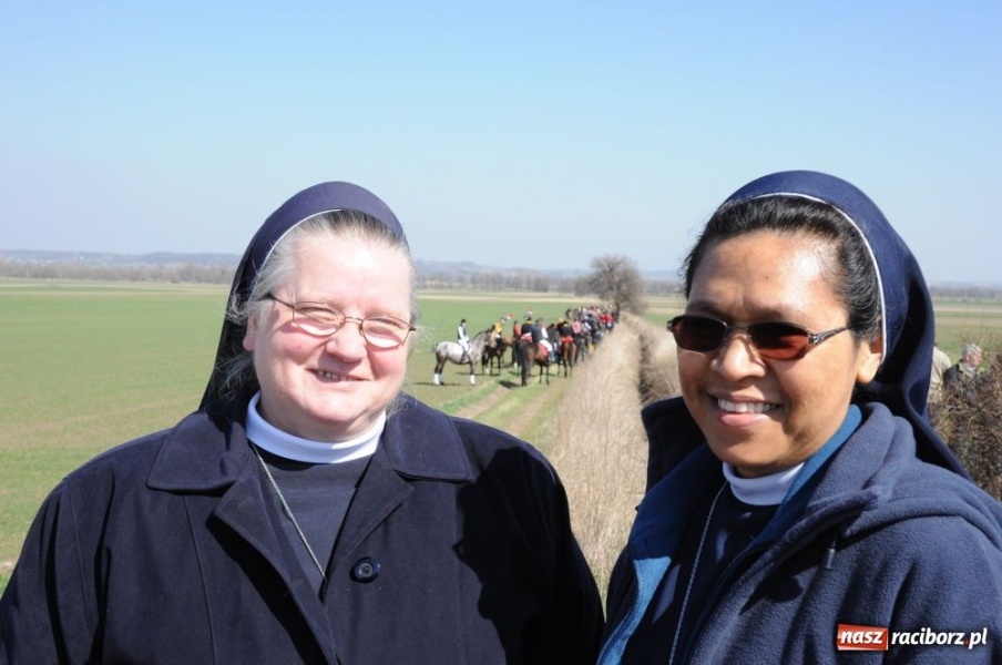 Zdjęcie w galerii na portalu naszraciborz.pl: W Sudole było najwięcej koni wiadomości z regionu