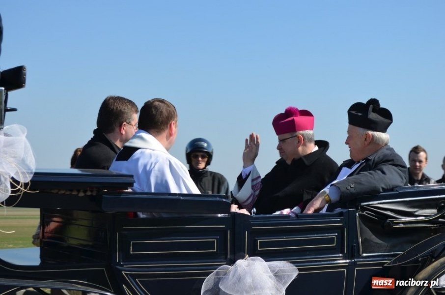 Zdjęcie w galerii na portalu naszraciborz.pl: W Sudole było najwięcej koni wiadomości z regionu