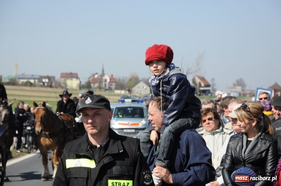 Zdjęcie w galerii na portalu naszraciborz.pl: W Sudole było najwięcej koni wiadomości z regionu