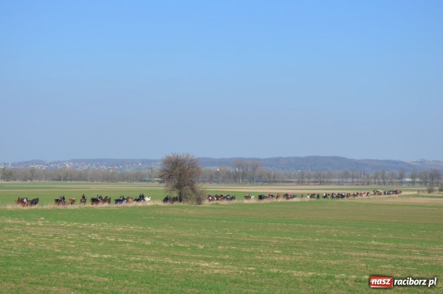 Zdjęcie w galerii na portalu naszraciborz.pl: W Sudole było najwięcej koni wiadomości z regionu