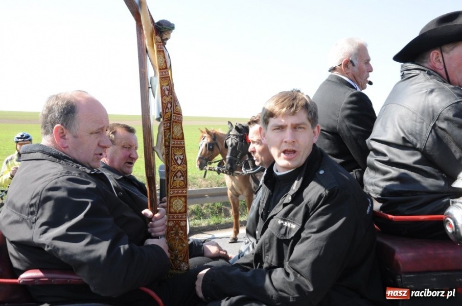 Zdjęcie w galerii na portalu naszraciborz.pl: W Sudole było najwięcej koni wiadomości z regionu