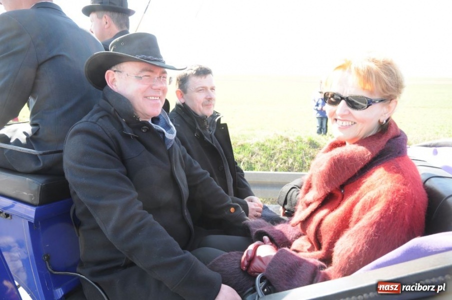 Zdjęcie w galerii na portalu naszraciborz.pl: W Sudole było najwięcej koni wiadomości z regionu