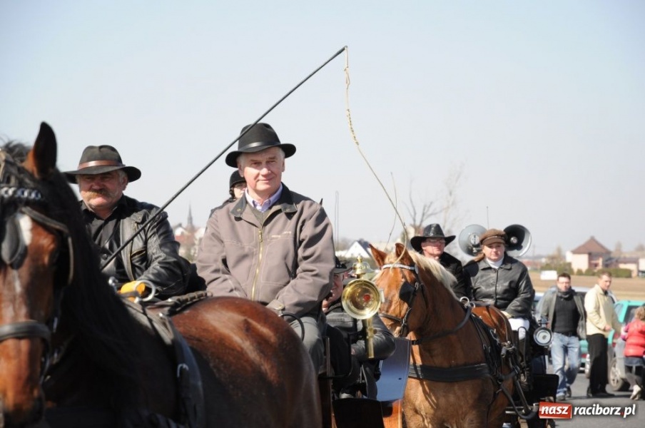 Zdjęcie w galerii na portalu naszraciborz.pl: W Sudole było najwięcej koni wiadomości z regionu