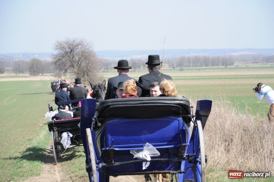 Zdjęcie w galerii na portalu naszraciborz.pl: W Sudole było najwięcej koni wiadomości z regionu