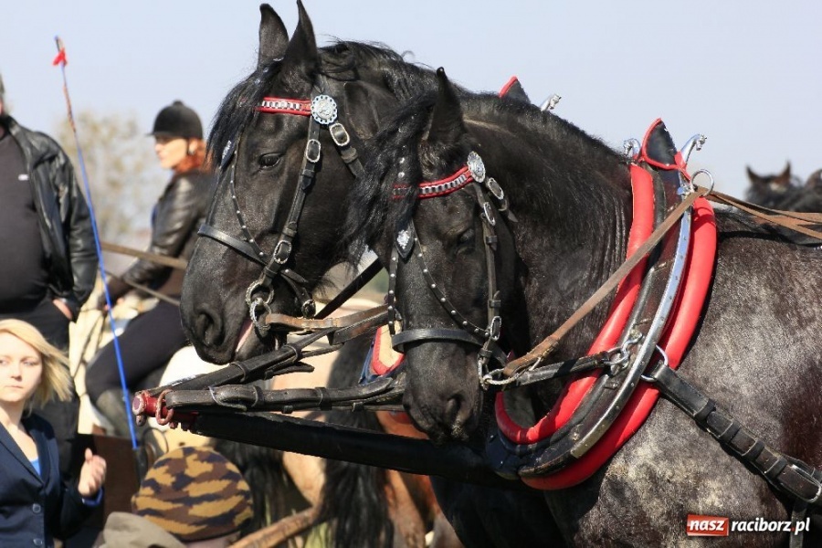 Zdjęcie w galerii na portalu naszraciborz.pl: Kaskaderzy w Zawadzie Książęcej wiadomości z regionu