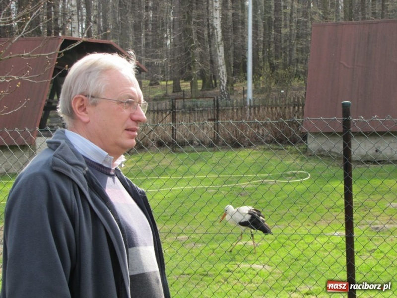 Zdjęcie w galerii na portalu naszraciborz.pl: Wkrótce otwarcie zaczarowanego ogrodu wiadomości z regionu